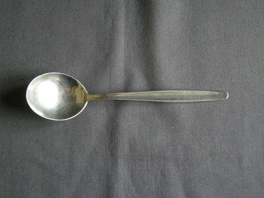 Durfine edelstaal S17 Jeunesse lepel 17,6 cm.