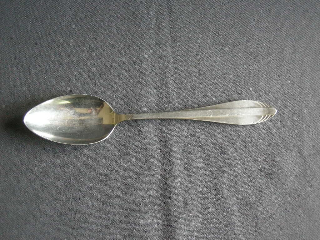 Gero Zilmeta model 581 visgraat lepel 21 cm.