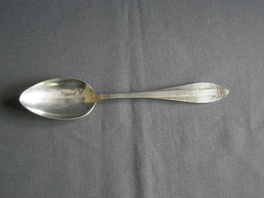 Gero Zilmeta model 581 visgraat lepel 21 cm.