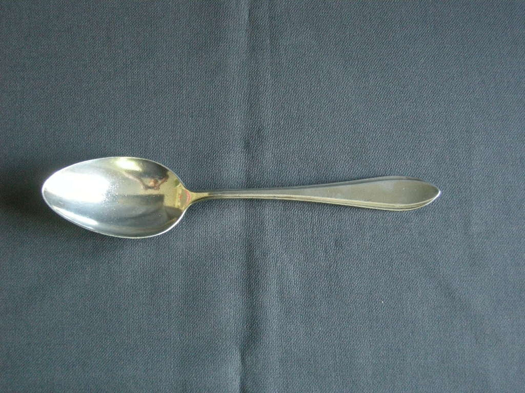 Gero verzilverd model 618 puntfilet lepel 21 cm. met logo KLM