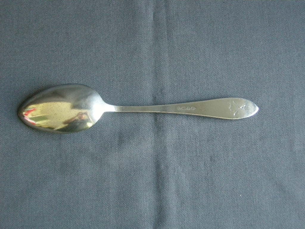 Gero verzilverd model 618 puntfilet lepel 21 cm. met logo KLM