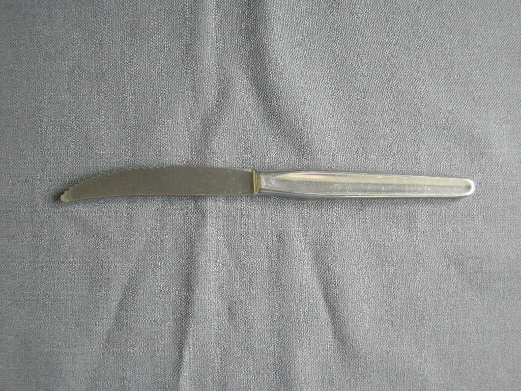 van Kempen & Begeer edelstaal S17 Jeunesse mes 22 cm.