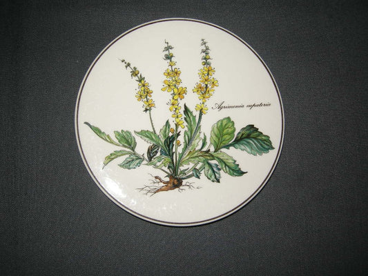 Villeroy & Boch Botanica pannenonderzetter met beschadiging