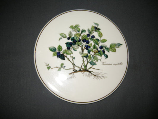 Villeroy & Boch Botanica pannenonderzetter