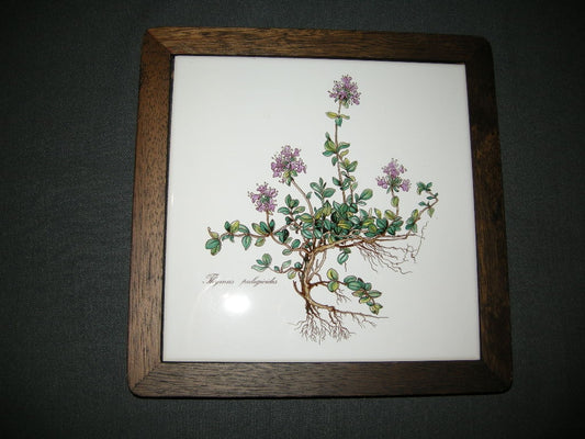 Villeroy & Boch Botanica onderzetter in hout