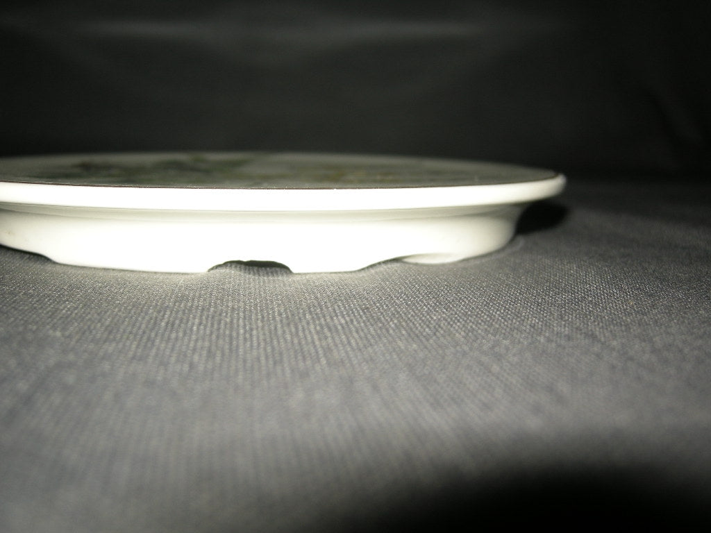 Villeroy & Boch Botanica pannenonderzetter met beschadiging
