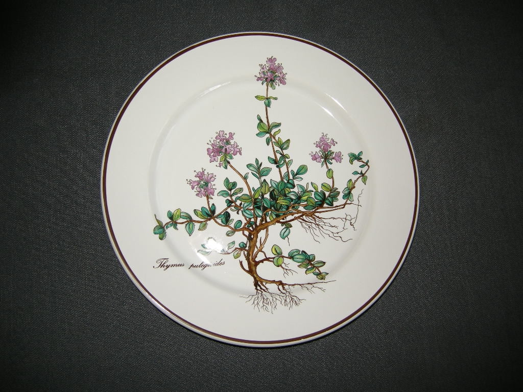 Villeroy & Boch Botanica ontbijtbord O21 cm.