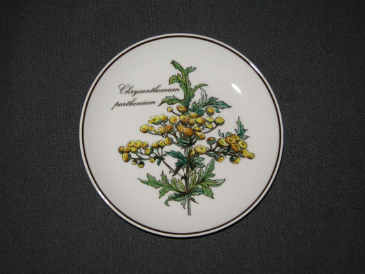 Villeroy & Boch Botanica petit fourbordje O12 cm. Chrysanthemum parthenium