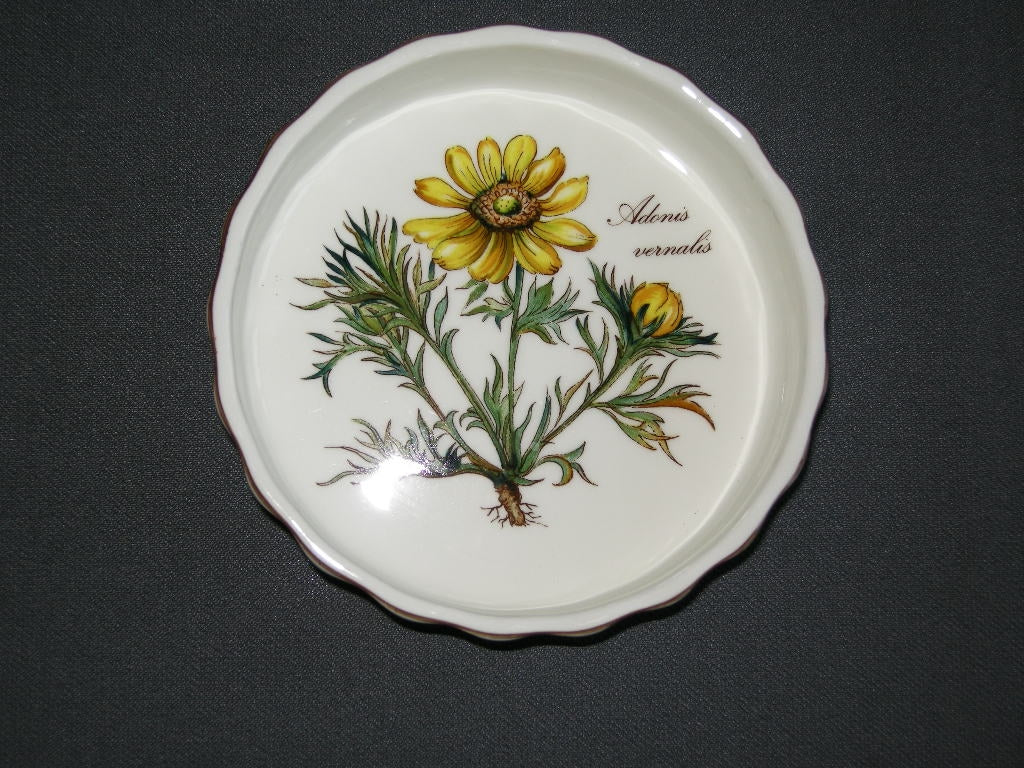 Villeroy & Boch Botanica Vilbofour quicheschaaltje O11,5 cm., hoogte 2,5 cm. Adonis vernalis