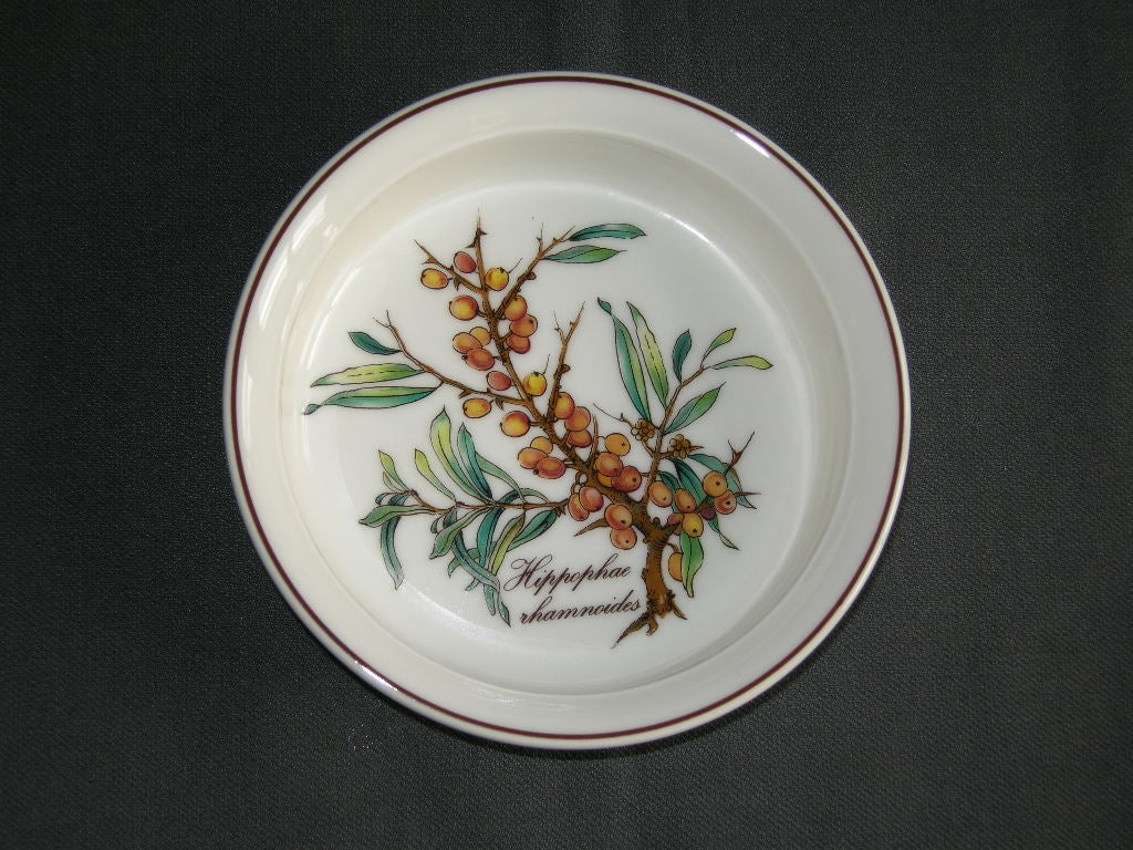 Villeroy & Boch Botanica Vilbofour quicheschaaltje O13 cm., hoogte 3 cm. Hippophae rhamnoides