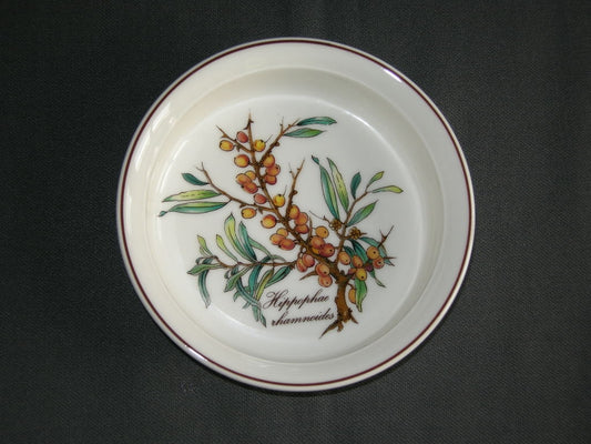 Villeroy & Boch Botanica Vilbofour quicheschaaltje O13 cm., hoogte 3 cm. Hippophae rhamnoides