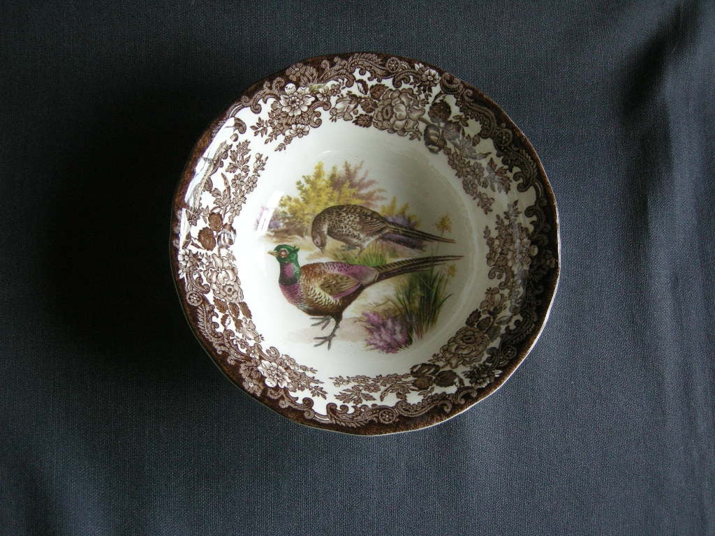 Palissy Game Series saladeschaaltje O16,5 cm.