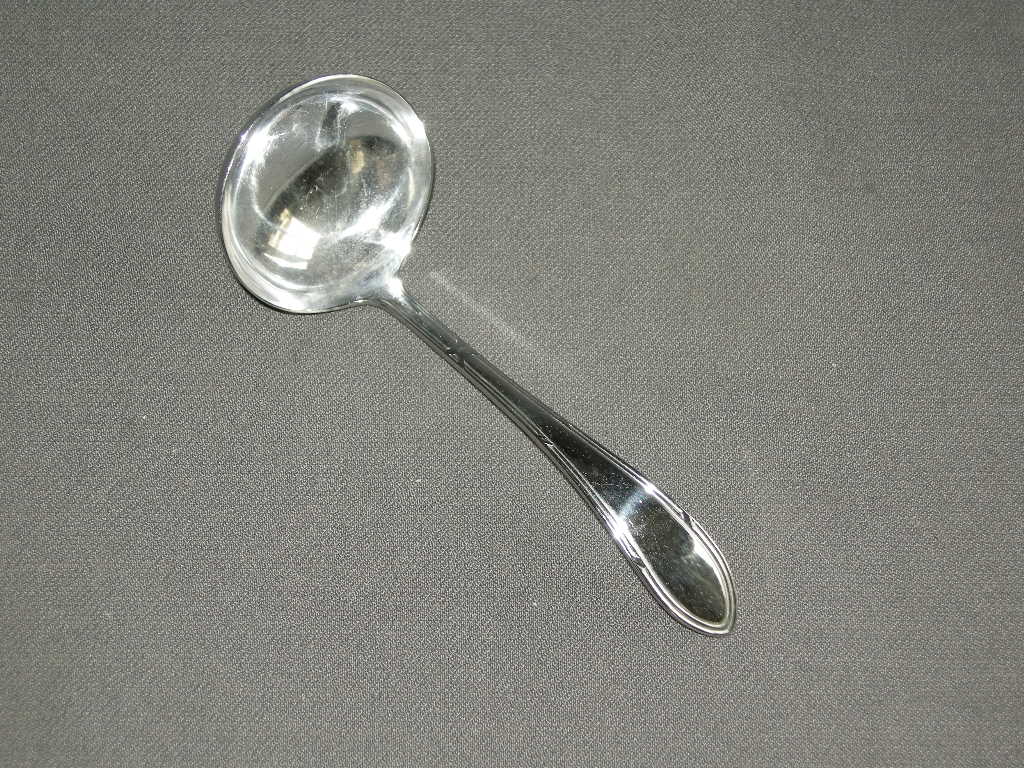 GZ vlekvrij model 625 kruisband sauslepel