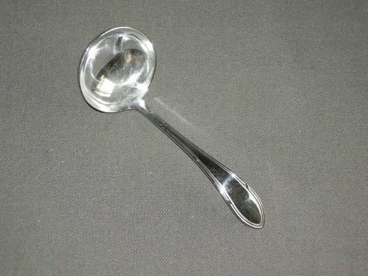 GZ vlekvrij model 625 kruisband sauslepel