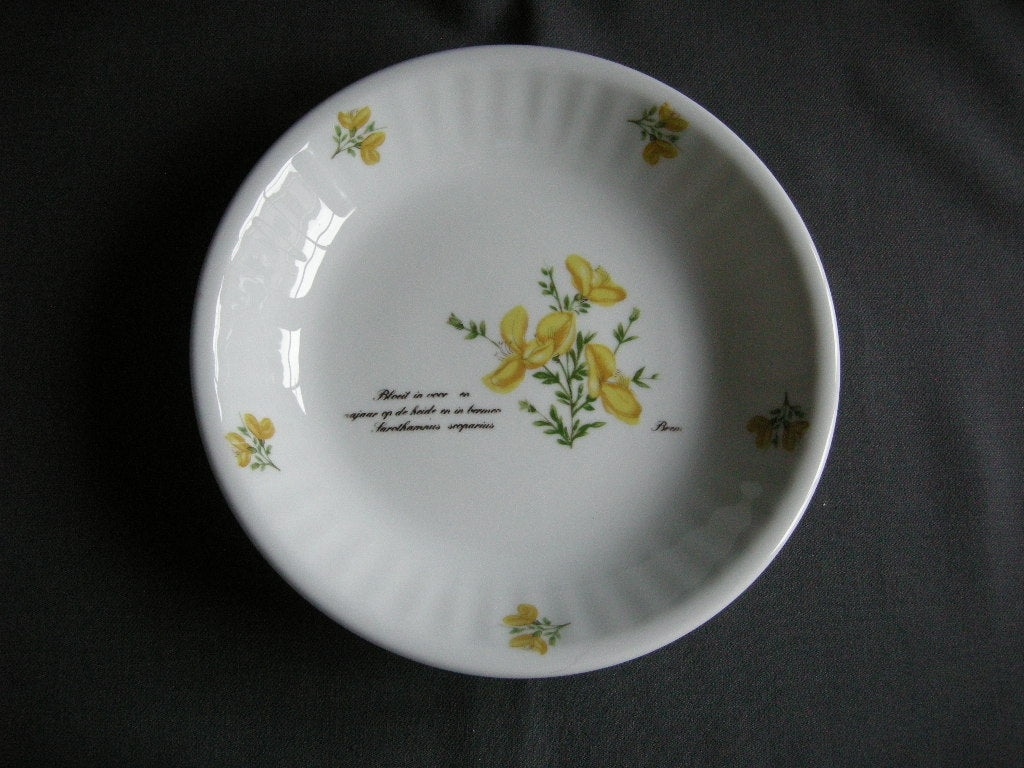 Libelle Wilde Planten soepbord brem
