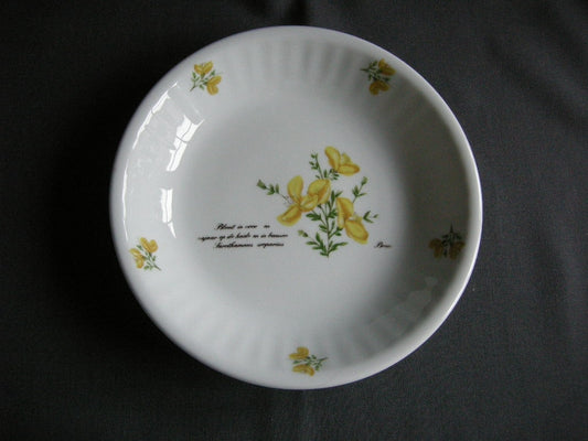 Libelle Wilde Planten soepbord brem