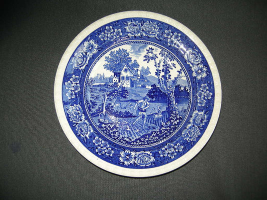 Villeroy & Boch Rusticana blauw soepbord