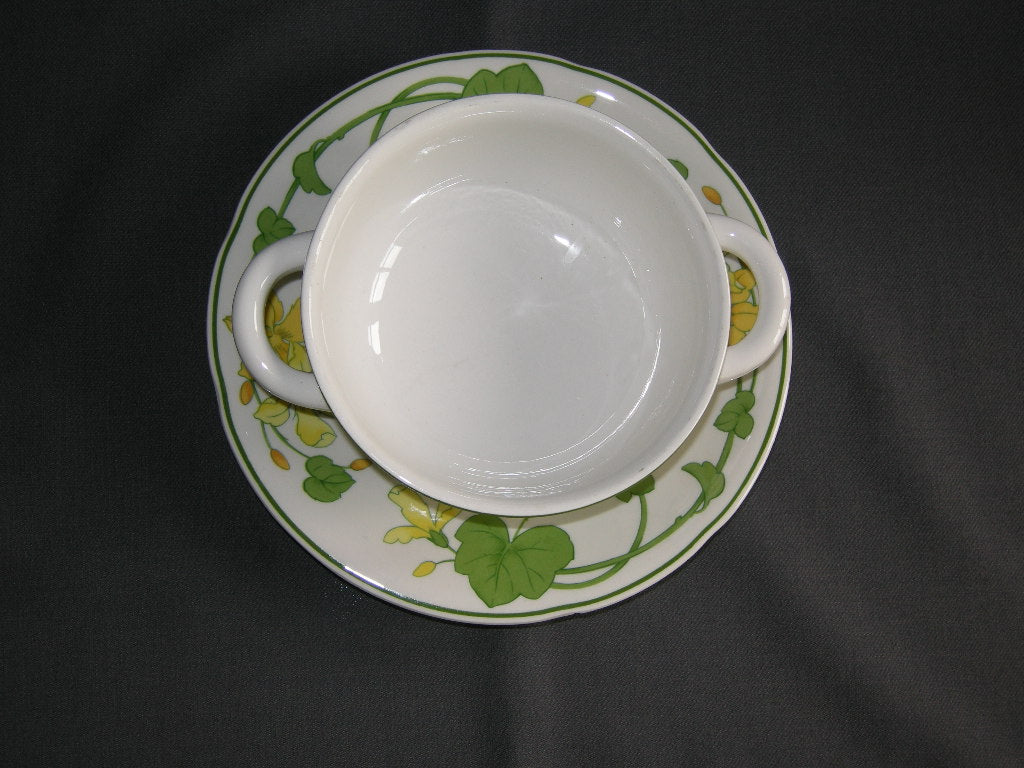Villeroy & Boch Geranium soepkop & schotel met beschadiging schotel