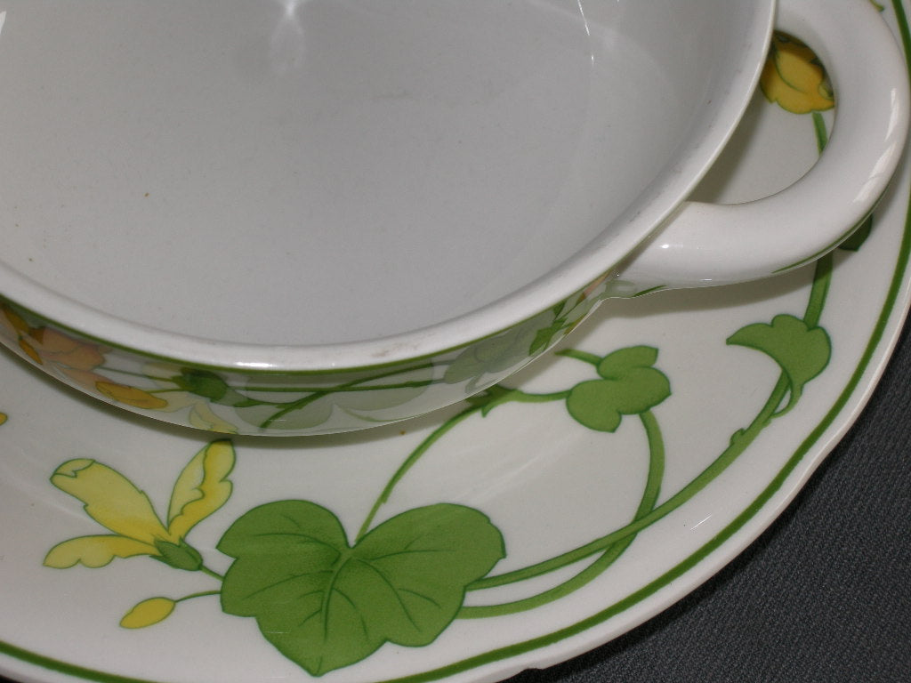Villeroy & Boch Geranium soepkop & schotel met beschadiging schotel