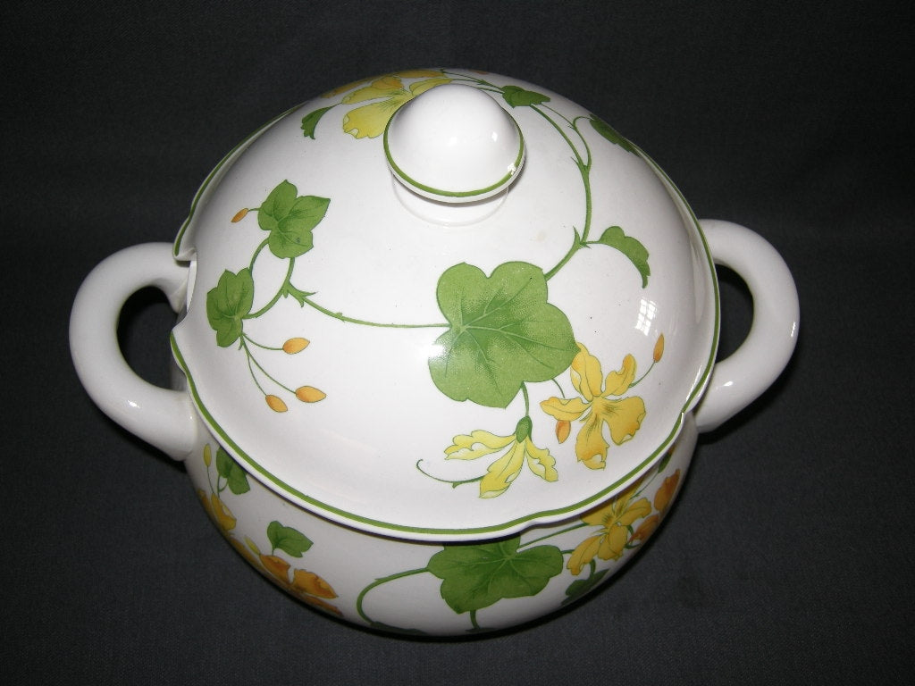Villeroy & Boch Geranium soepterrine
