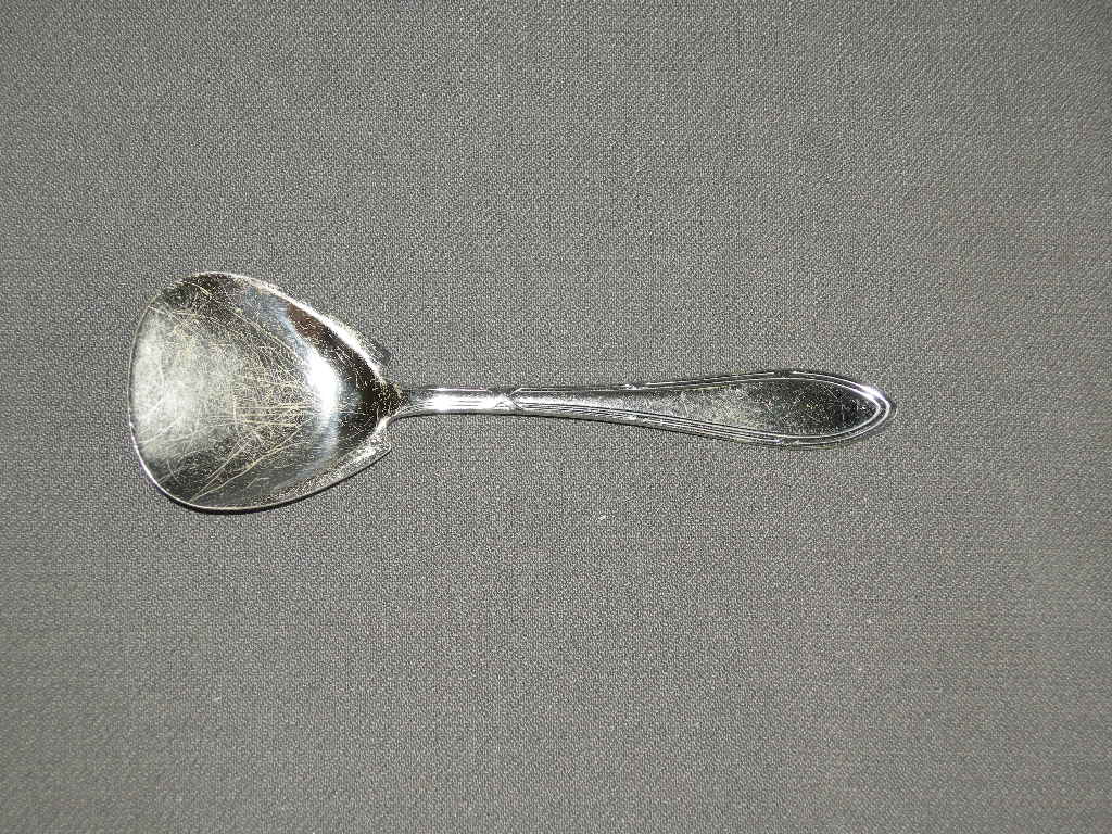 GZ vlekvrij model 625 kruisband suikerschep