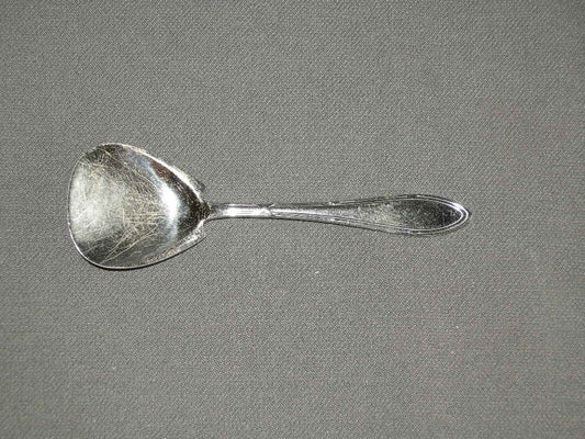 GZ vlekvrij model 625 kruisband suikerschep