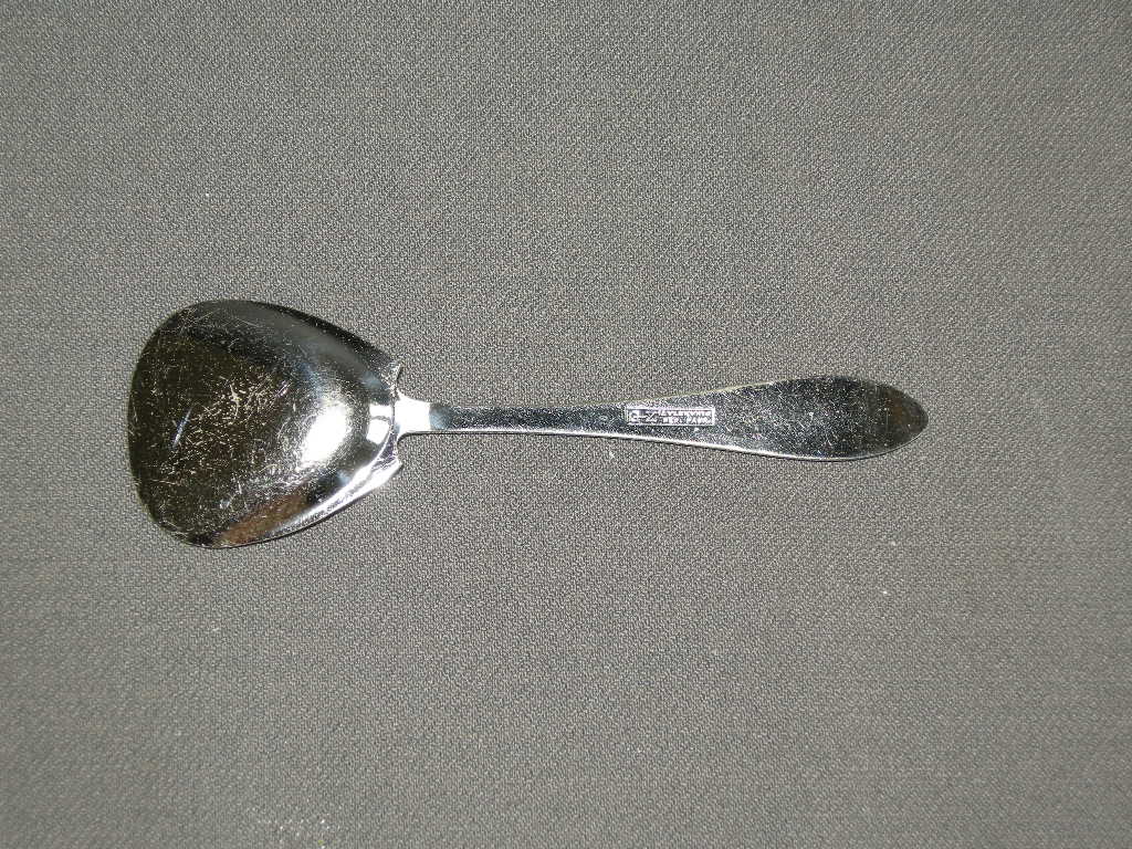 GZ vlekvrij model 625 kruisband suikerschep