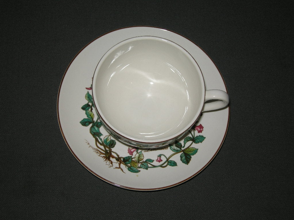 Villeroy & Boch Botanica theekop & schotel D.E.