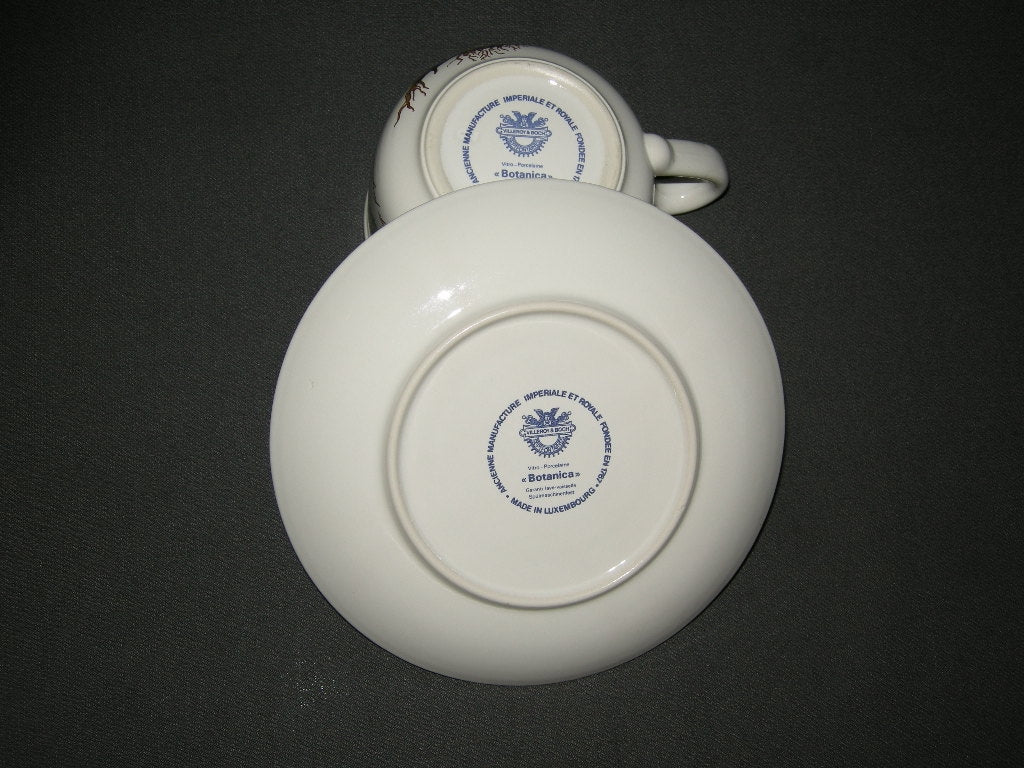 Villeroy & Boch Botanica theekop & schotel