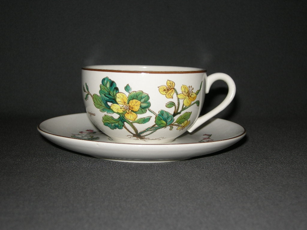 Villeroy & Boch Botanica theekop & schotel D.E.
