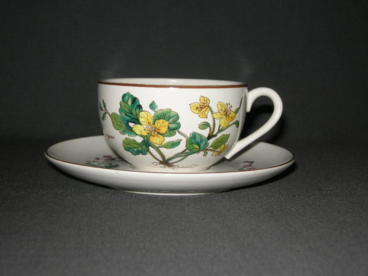 Villeroy & Boch Botanica theekop & schotel D.E.