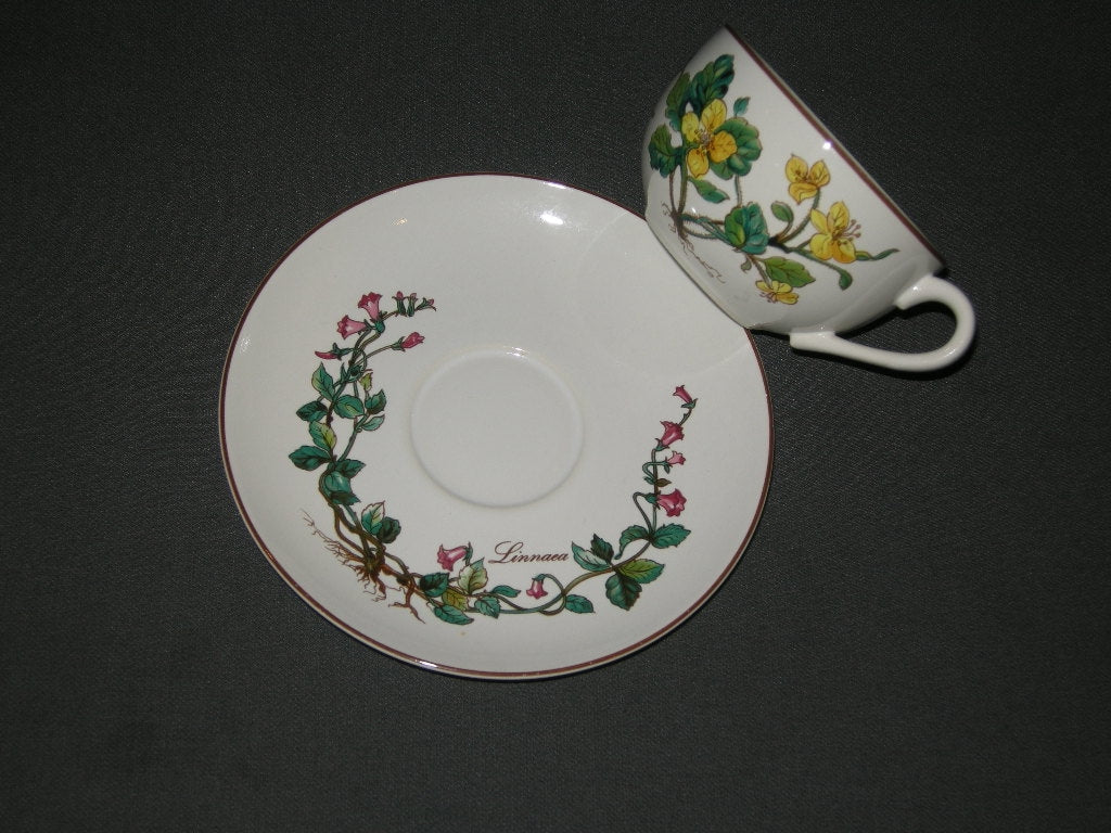 Villeroy & Boch Botanica theekop & schotel D.E.