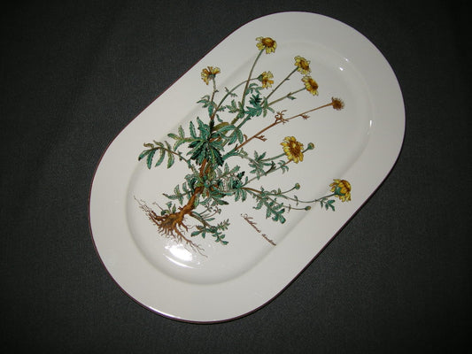 Villeroy & Boch Botanica vleesschaal 33,5 x 20 cm.