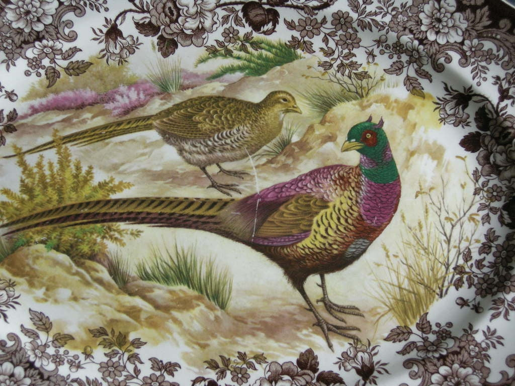 Palissy Game Series vleesschaal 35,5 x 27,5 cm.