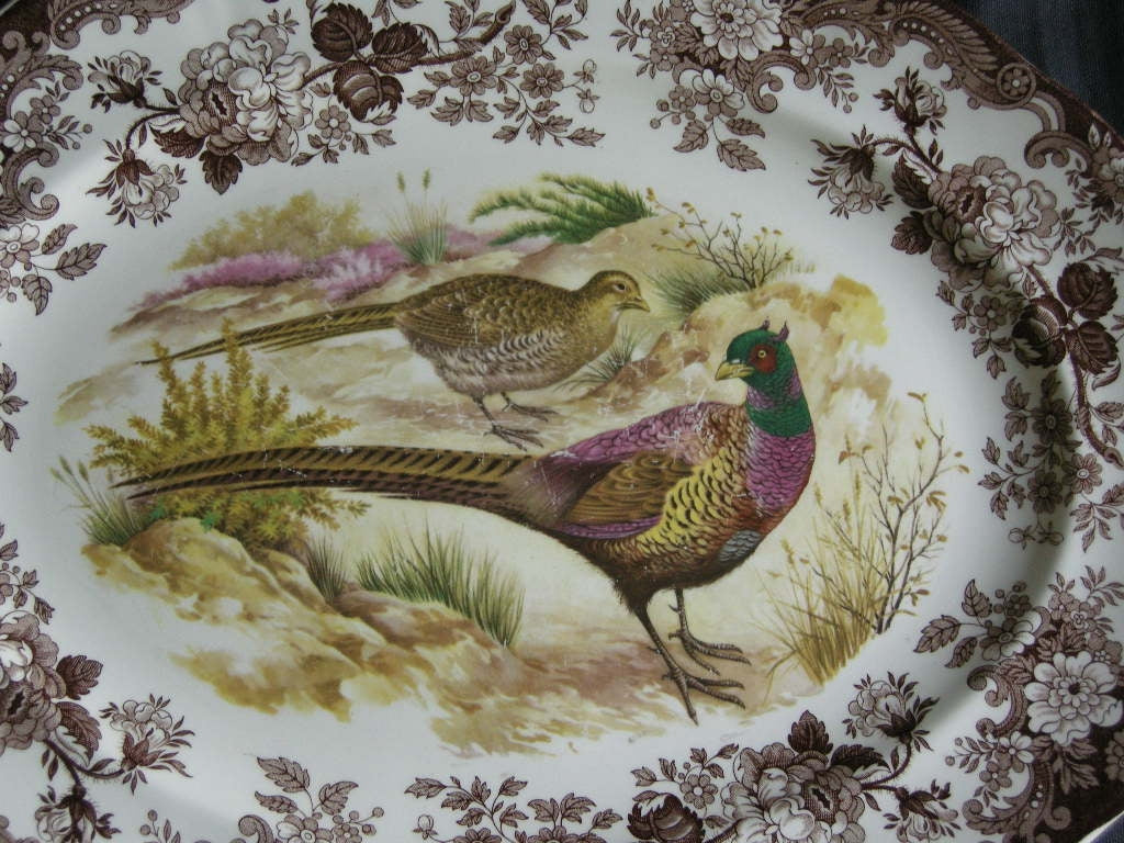 Palissy Game Series vleesschaal 41 x 32 cm.