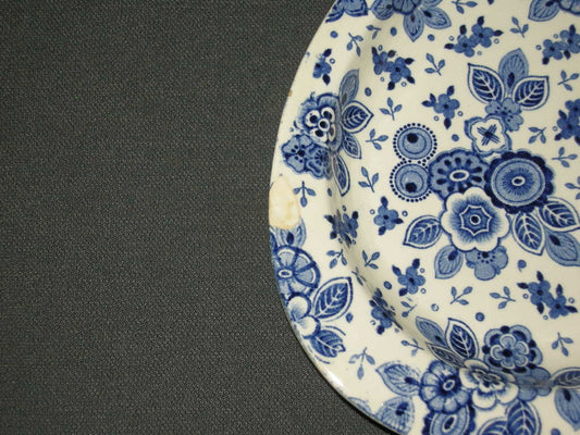 Societe Ceramique Beatrix presenteerschaaltje met rand 25 x 16 x 2 cm. met beschadiging
