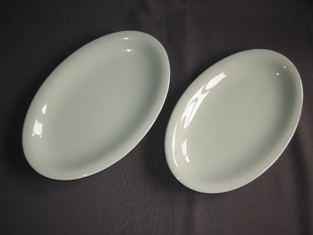 Goedewaagen pastel celadon vleesschaaltjes ovaal