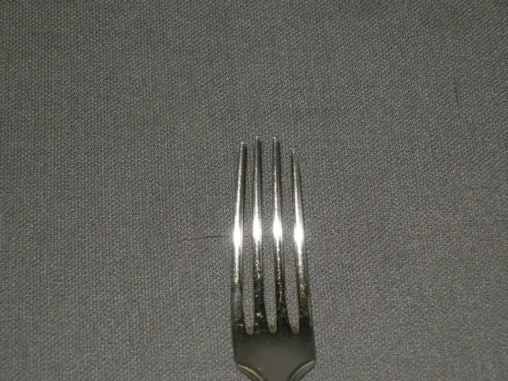 Wellner verzilverd vork lengte 18,5 cm.