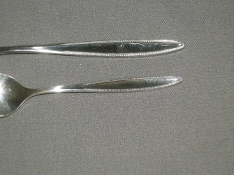 S22 Fleuri