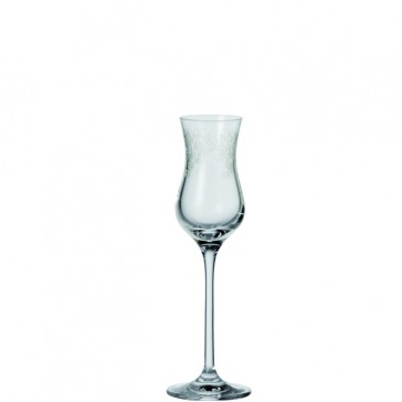 LEONARDO Chateau grappa glas inh 8 cl hoogte 20 cm