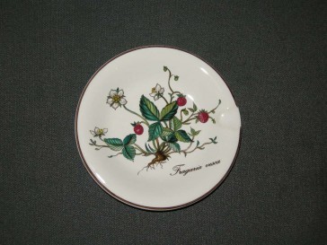Villeroy & Boch Botanica asbak