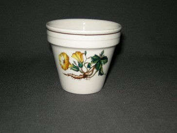 Villeroy & Boch Botanica bloempotje / cactuspotje
