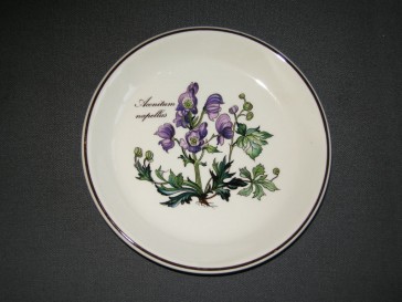 Villeroy & Boch Botanica cakebordje O14 cm. Aconitum napellus