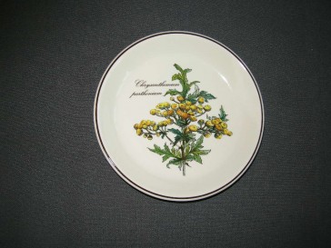 Villeroy & Boch Botanica cakebordje O14 cm. Chrysanthemum parthenium
