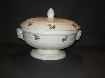 Wedgwood Conway dekschaal