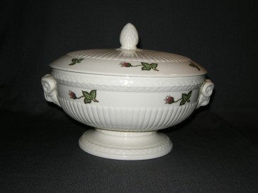 Wedgwood Moss Rose dekschaal