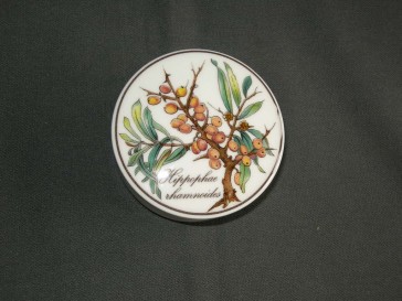 Villeroy & Boch Botanica dekselschaaltje O7,3 cm. Hippophae rhamnoidus
