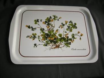 Villeroy & Boch Botanica dienblad