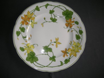 Villeroy & Boch Geranium dinerbord