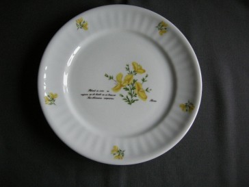 Libelle Wilde Planten dinerbord brem